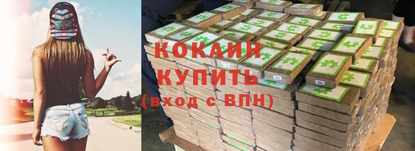 соль ск Сосновый Бор