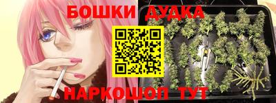 сатива Малгобек