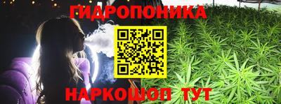 сатива Малгобек