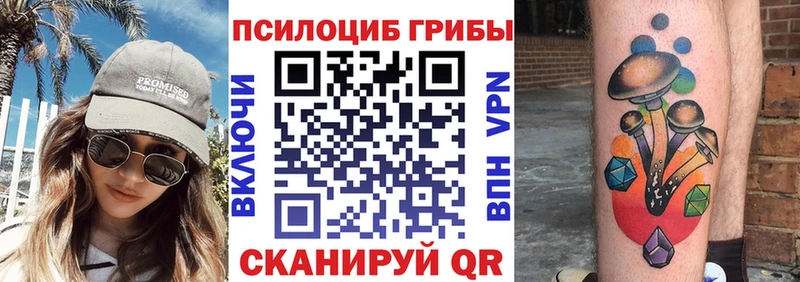 Псилоцибиновые грибы Psilocybe  гидра рабочий сайт  Славгород 